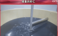  激发社会广