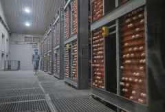 务院国资委网坐推出“答卷十四五・央企惠平易